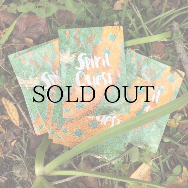 画像3: Spirit Quest - Colin Read (Mandible Claw) (3)