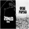 画像1: BRIGHT MOMENTS - Zach Chamberlin (1)