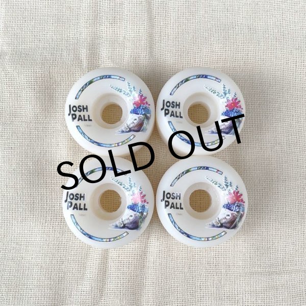 画像1: SML WHEELS "JOSH PALL TIDE POOL" - 53mm V-Cut (1)