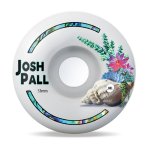 画像4: SML WHEELS "JOSH PALL TIDE POOL" - 53mm V-Cut (4)