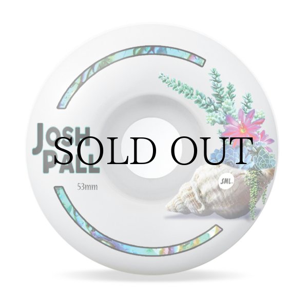 画像4: SML WHEELS "JOSH PALL TIDE POOL" - 53mm V-Cut (4)
