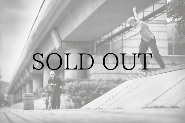 画像11: ACE TRUCKS "CLASSIC LOW" - 02/03 (1SET) (11)