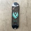 画像1: POWELL PERALTA "FLIGHT DECK #243" - 8.25×31.95 (1)