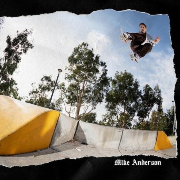 画像7: 【 VENTURE TRUCKS 】POLISH (7)