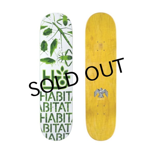 画像1: HABITAT "INSECTA DECK" - 8.0inch (1)
