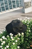 画像7: NOROLL × DUSK "KENNY" - BLACK (7)