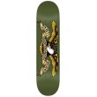 画像4: ANTI HERO SKATEBOARDS "CLASSIC EAGLE" - 8.38inch (4)