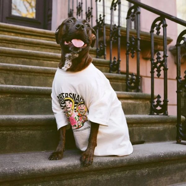 画像2: QUARTERSNACKS "RUSSIAN DOLL TEE" - CREAM (2)