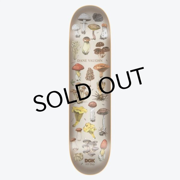 画像1: 【SALE】DGK "ALL NIGHT Dane Vaughn" - 8.25inch (1)