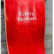画像2: 5BORO "5B ALWAYS RUN TEAL BLUE VENEER" - 8.25inch (2)