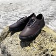 画像1: VANS "COLFAX LOW" - DEMITASSE (Alex Knost × Lee-Ann Curren) (1)