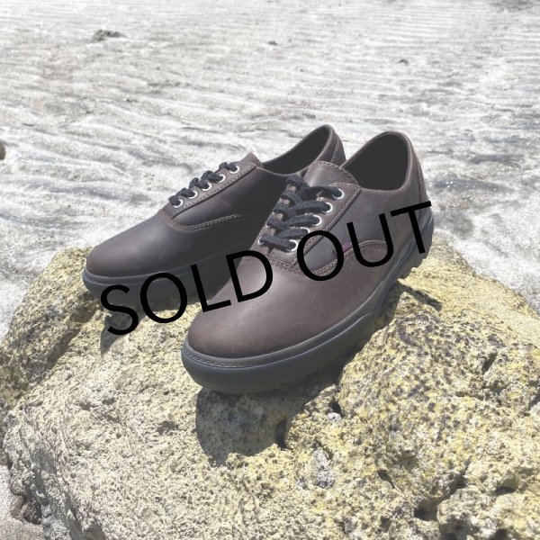 画像1: VANS "COLFAX LOW" - DEMITASSE (Alex Knost × Lee-Ann Curren) (1)