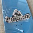 画像4: STRANGE LOVE "Ray Barbee  Classic" - 9.5inch (4)