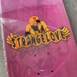 画像4: STRANGE LOVE "Ray Barbee  What if... ?" - 9.5inch (4)