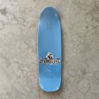 画像3: STRANGE LOVE "Ray Barbee  Classic" - 9.5inch (3)