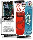 画像6: REAL SKATEBOARDS "SUN LIZARD Jimmy Wilkins" - 8.25×32inch (6)