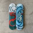 画像5: REAL SKATEBOARDS "SUN LIZARD Jimmy Wilkins" - 8.25×32inch (5)