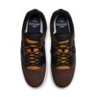 画像2: 【SALE  26cm 】NIKE SB " ISHOD PREMIUM " - BAROQUEBROWN (2)