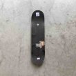 画像2: PRIMITIVE "NUEVO SCRIPT CORE TEAL DECK" - 8.0inch (2)