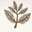 画像4: MAGENTA SKATEBOARDS"TREE PLANT TEE" - NATURAL (4)