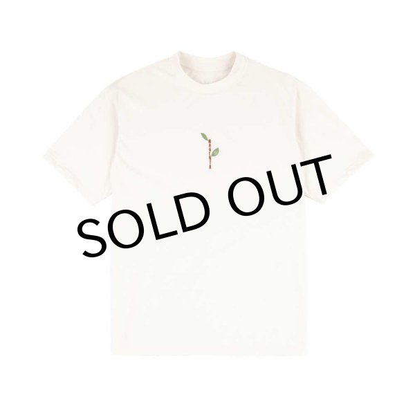 画像1: MAGENTA SKATEBOARDS"TREE PLANT TEE" - NATURAL (1)