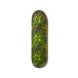 画像1: EVISEN SKATEBOARDS "OBAKE LOGO" - 8.0inch (1)