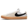 画像2: NIKE SB "ZOOM BLAZER LOW PRO GT SB" - WHITE&GUM (2)