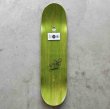 画像3: THE HEATED WHEEL "JAKE HILL BIRD CAGE PROMODEL DECK" - 8.5 (3)