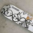画像2: THE HEATED WHEEL "TOM REMILLARD OCEAN VIEW PROMODEL DECK" - 9.0 (2)