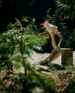 画像5: ELEMENT "Polo Ralph Lauren × ELEMENT PRLXE QUADRANT DECK" - 8.25inch (5)