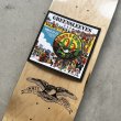 画像5: ANTI HERO SKATEBOARDS "ANTI HERO x GREENSLEEVES GRANT TAYLOR DECK" - 8.5inch (5)