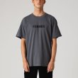 画像2: FORMER MERCHANDISE "LEGACY PLATE TEE" - STONE (2)