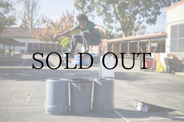 画像3: SKF Skateboarding "SKF Ishod Signature Bearing Kit" (3)