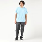 画像7: Dickies Skateboarding "Regular Fit Twill Pants" - Charcoal gray (7)