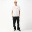 画像6: Dickies Skateboarding "Regular Fit Twill Pants" - Black (6)