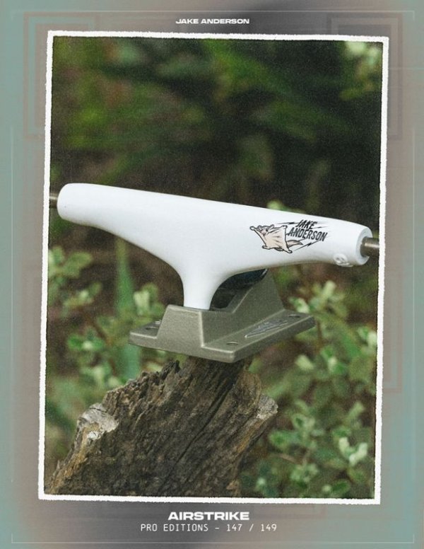 画像2: 【THUNDER TRUCKS】JAKE ANDERSON / AIR STRIKE - TEAM 149 (2)