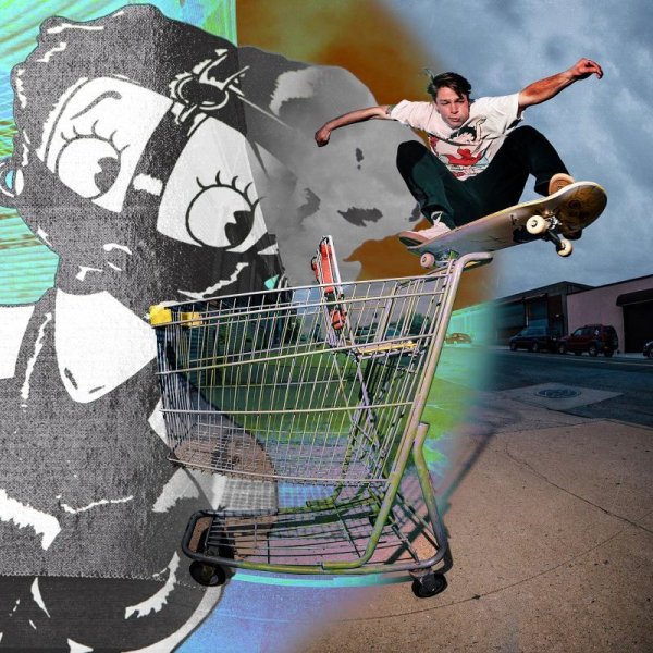 画像2: QUASI "Josh Wilson Pro Model / Towa" - 8.25inch (2)