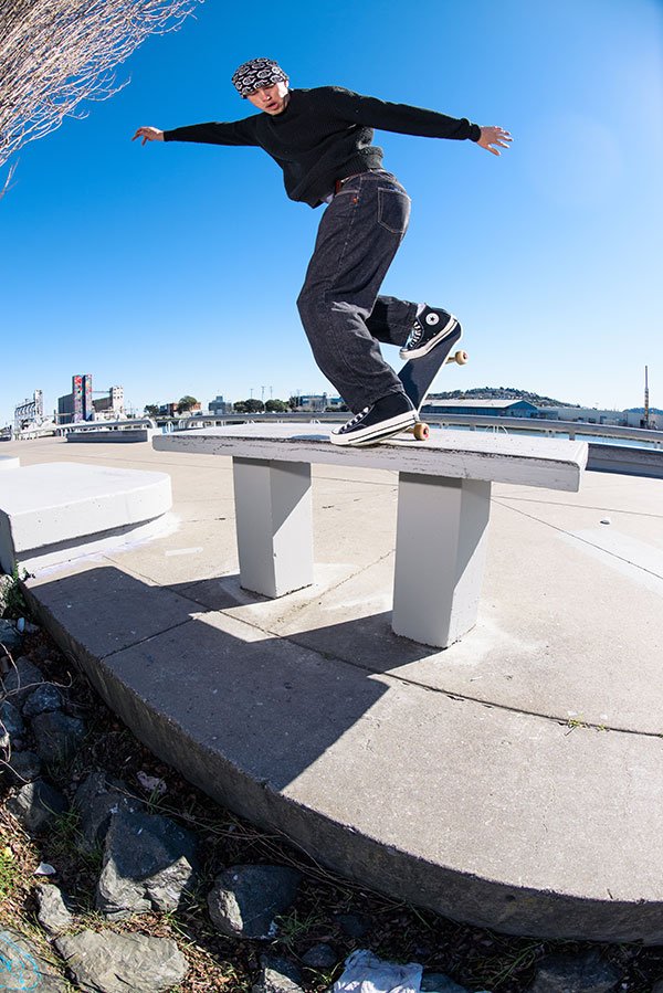 画像2: QUASI "Bobby de Keyzer Pro Model / Bobi" - 8.125inch (2)