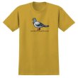 画像1: 【ANTIHERO】"ANTI HERO BIG PIGEON TEE" - GINGER (1)