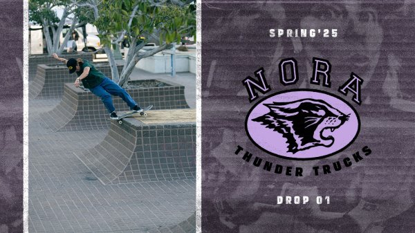 画像3: THUNDER TRUCKS " CAMPUS / NORA VASCONCELLOS pro edition " - 147 : 8.0 AXLE (3)