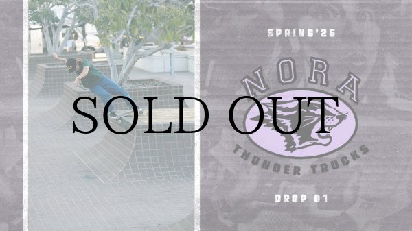 画像3: THUNDER TRUCKS " CAMPUS / NORA VASCONCELLOS pro edition " - 147 : 8.0 AXLE (3)