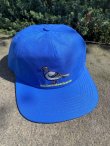画像1: ANTIHERO " LIL PIGEON SNAP BACK " - BLUE YELLOW (1)