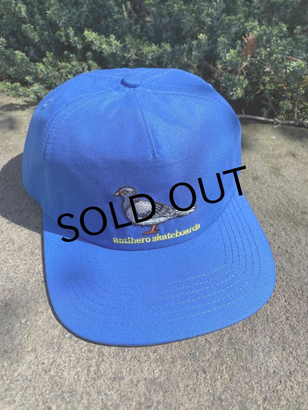画像1: ANTIHERO " LIL PIGEON SNAP BACK " - BLUE YELLOW (1)