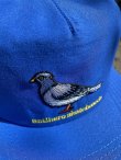 画像2: ANTIHERO " LIL PIGEON SNAP BACK " - BLUE YELLOW (2)