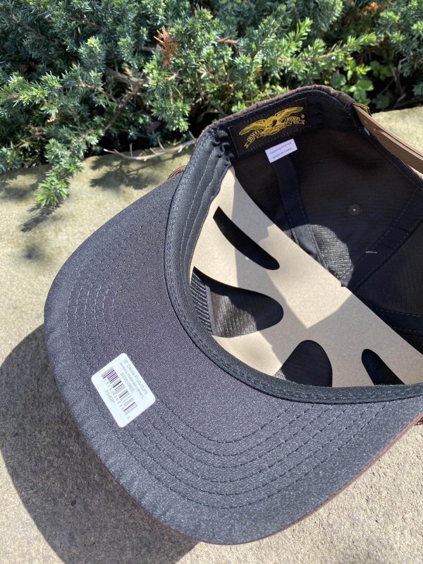 画像4: ANTIHERO " LIL PIGEON SNAP BACK " - DARK BROWN YELLOW (4)