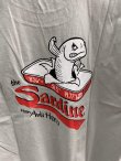 画像4: ANTIHERO " THE SARDINE SS TEE " - NEW SILVER (4)