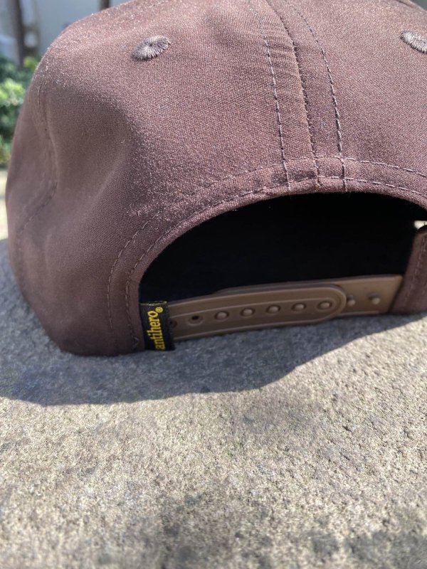 画像3: ANTIHERO " LIL PIGEON SNAP BACK " - DARK BROWN YELLOW (3)
