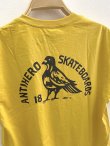 画像4: ANTIHERO " ROCK DOVE SS TEE " - MUSTERD (4)