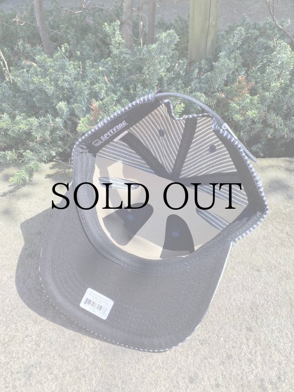 画像3: SPITFIRE " FLAMES SCRIPT " - INDIGO RAILROAD STRIPE (3)