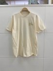 画像1: ANTIHERO " ROACH AND TOAD SS TEE  " - CREAM (1)